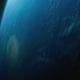 Image for article titled Suspended Between Science and God: Terrence Malick’s The Tree of Life